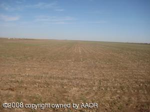 40 Acres fallow