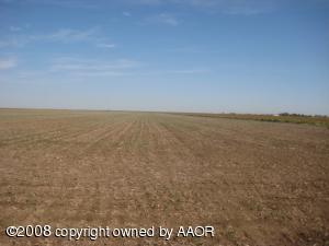 Growing Milo Crop 40 Acres