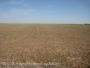 40 Acres fallow