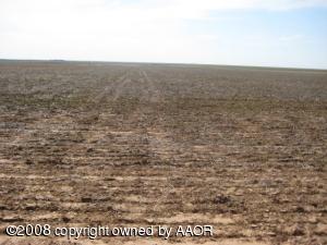 40 Acres Wheat Planted