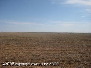 250 Acres of Irrigated Wheat