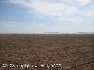 250 Acres of Irrigated Wheat