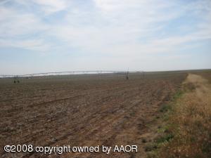 250 Acres of Irrigated Wheat