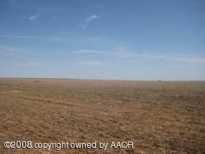 250 Acres of Irrigated Wheat