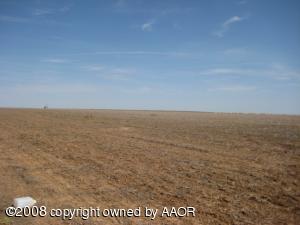 250 Acres of Irrigated Wheat