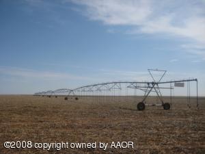 250 Acres of Irrigated Wheat