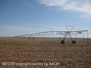 250 Acres of Irrigated Wheat