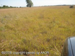 140 CRP Acres Grass; 16 Acres Creek Draw