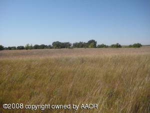 140 CRP Acres Grass; 16 Acres Creek Draw