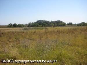 140 CRP Acres Grass; 16 Acres Creek Draw
