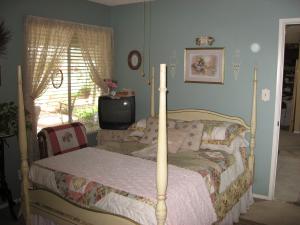 Bellis-Bdrm 2