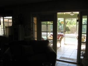 Bellis-Patio
