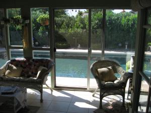 Bellis-Patio 2