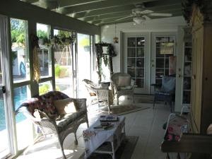 Bellis-Patio 3