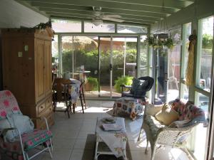 Bellis-Patio 5