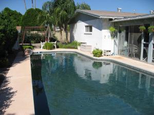 Bellis-Pool
