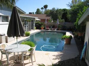 Bellis-Pool 2