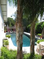 Bellis- Pool 3