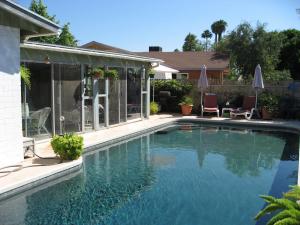 Bellis-Pool 4