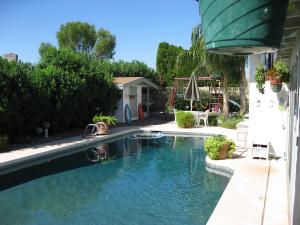 Bellis - Pool 5