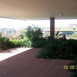 Back Patio