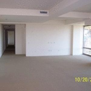 Living Room Area