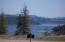 See more details about this listing.