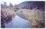 See more details about this listing.
