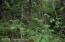 See more details about this listing.
