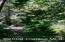 See more details about this listing.