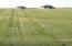 See more details about this listing.
