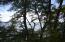 See more details about this listing.