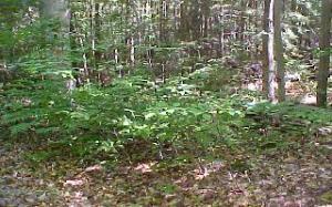 See virtual tour of this listing