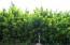 See more details about this listing.