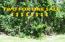 See more details about this listing.