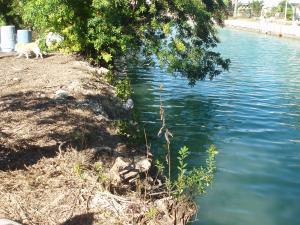 Lot at 00 Arica Lane, Cudjoe Key, FL