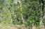 See more details about this listing.