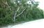 See more details about this listing.