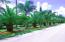 See more details about this listing.