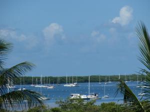 Key Harbor Condo #401, Marathon, FL