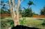 See more details about this listing.