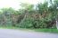 See more details about this listing.