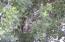 See more details about this listing.