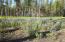 See more details about this listing.
