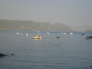 Trinidad Harbor