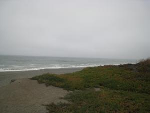 Ocean to the North