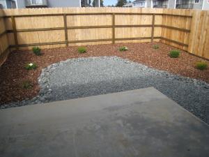 Fenced Back Yard 