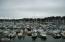 See more details about this listing.
