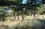 See more details about this listing.