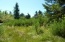 See more details about this listing.